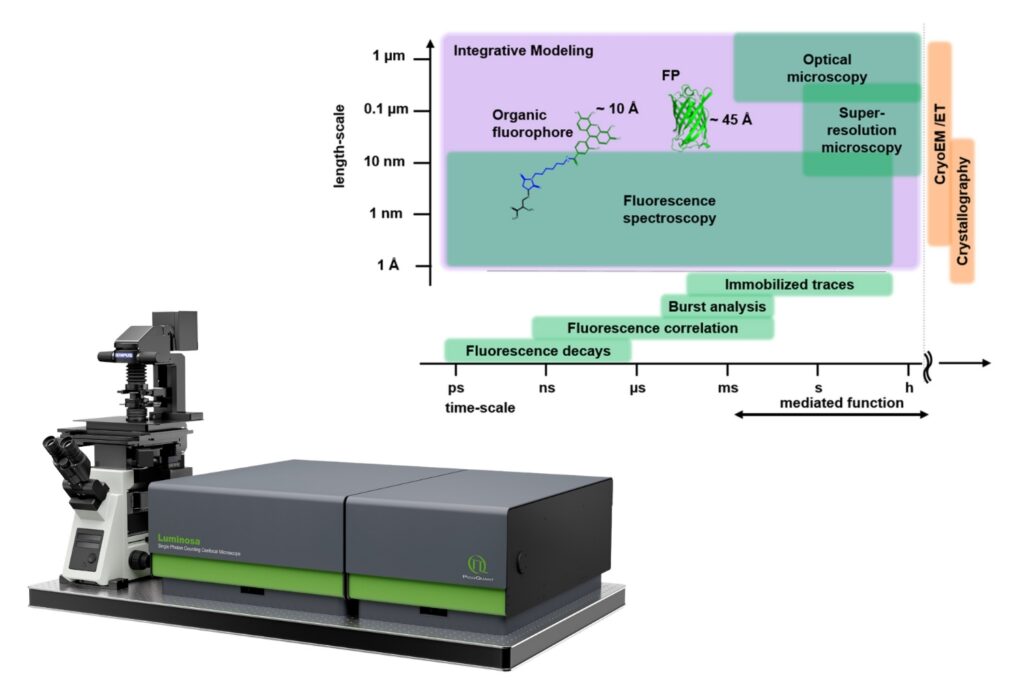 Fluorescence methods span multiple length and time scales relevant to integrative molecular modeling. Figure adapted from T.-O. Peulen, D. Maksutova, and T. Cordes, Current Opinion in Structural Biology 101, 103376 (2026), CC BY 4.0. Luminosa shown separately.