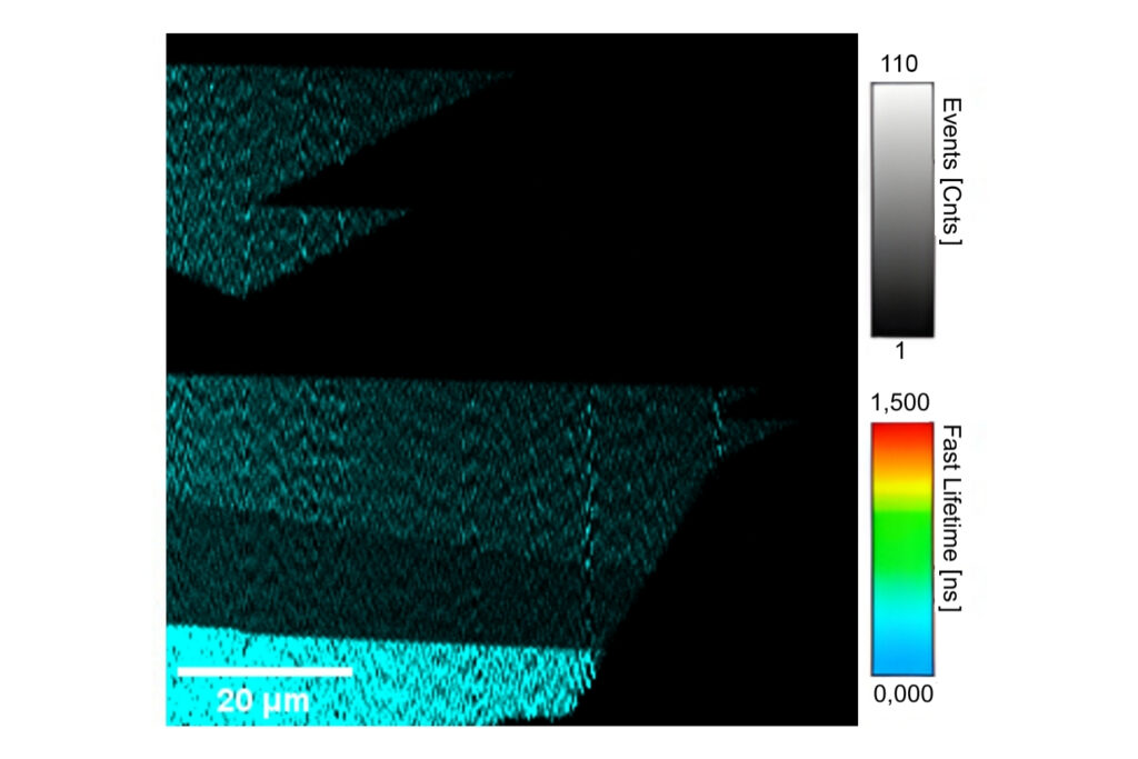 Second-harmonic generation image of MoS2 monolayer with intensity scale