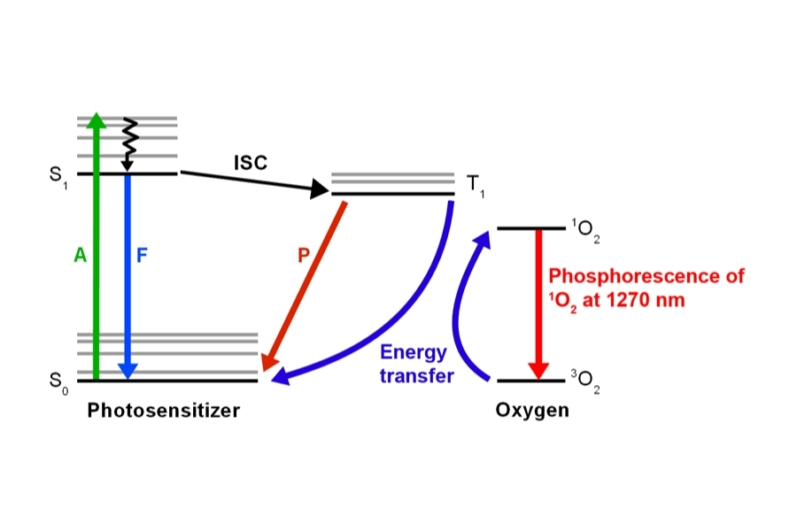 Jablonski diagram showing singlet oxygen energy transfer and emission