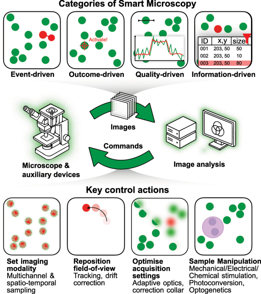 Smart microscopy workflows connect image acquisition, real-time analysis, and feedback control, allowing the microscope to adapt imaging modality, field of view, acquisition settings, or sample manipulation based on experimental information. Adapted from Figure 1 in Hinderling et al., Smart Microscopy: Current Implementations and a Roadmap for Interoperability, Methods in Microscopy, 2026, CC BY 4.0. Check: https://smartmicroscopy.github.io/
