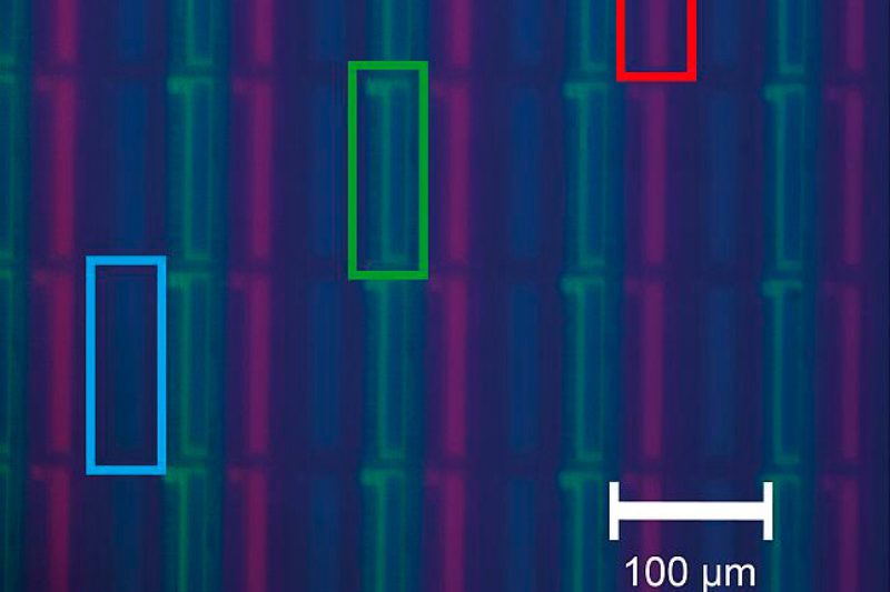 Microscopy image of a smartphone display captured through a 20x objective showing individual red, green, and blue pixels used for optical LED characterization.
