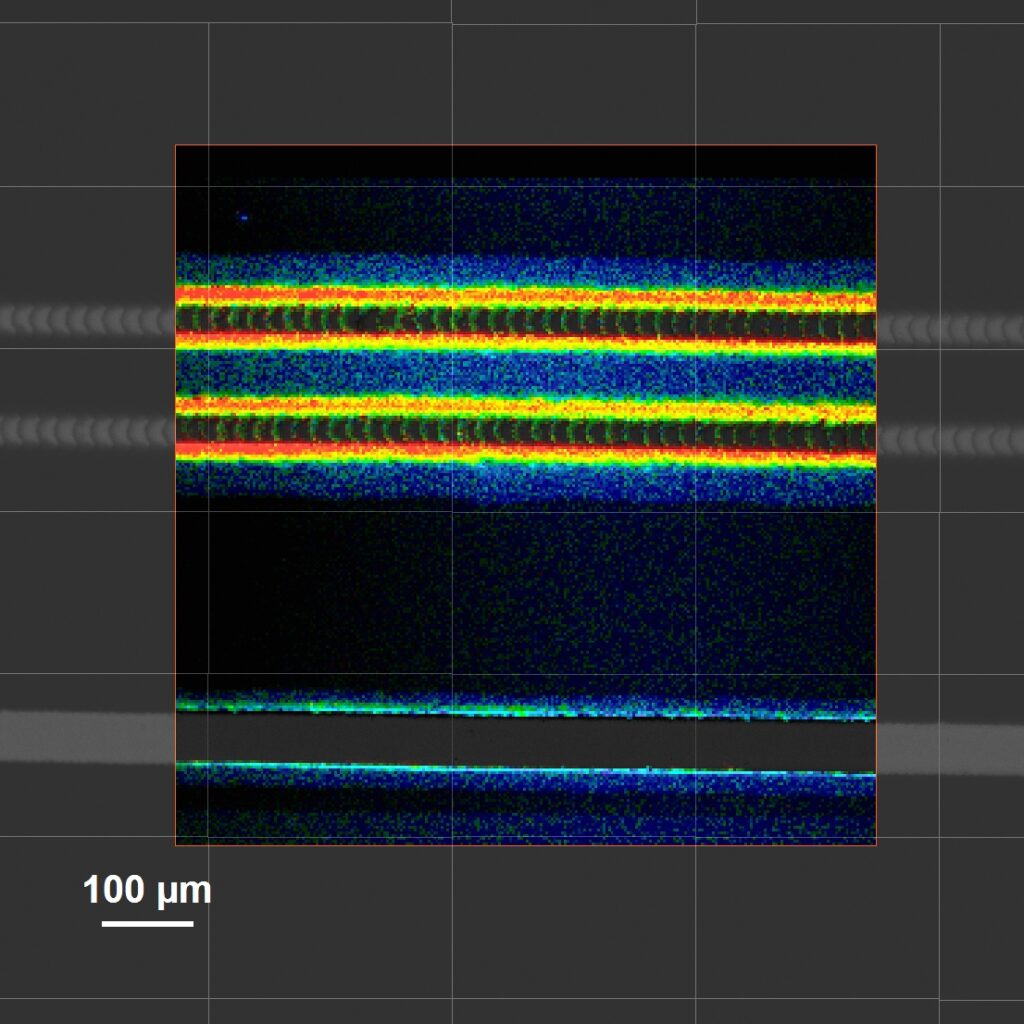 Spatially resolved TRPL image recorded from sample B, showing photoluminescence intensity distribution along laser-patterned lines. The structured regions remain photoluminescent, indicating that the laser process modifies local photophysical.
