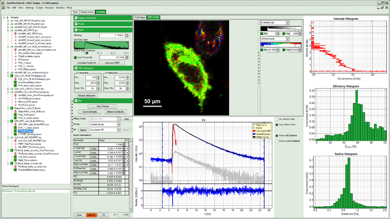 FLIM-FRET image with decay fitting and efficiency histograms