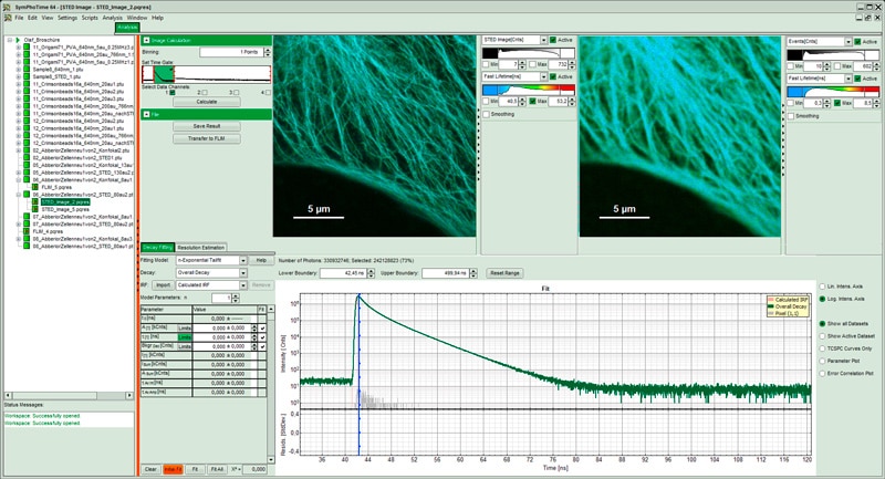 STED image with decay curve and fitting parameters