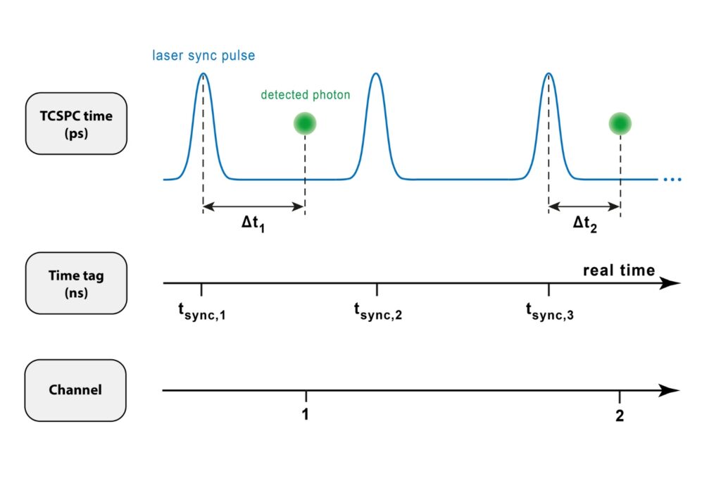 Diagram illustrating T3 time tagging in TCSPC acquisition. The graphic shows laser synchronization pulses, detected photon events, TCSPC delay times relative to the sync pulse, synchronization pulse counters, and detector channel information used for T3 data encoding.