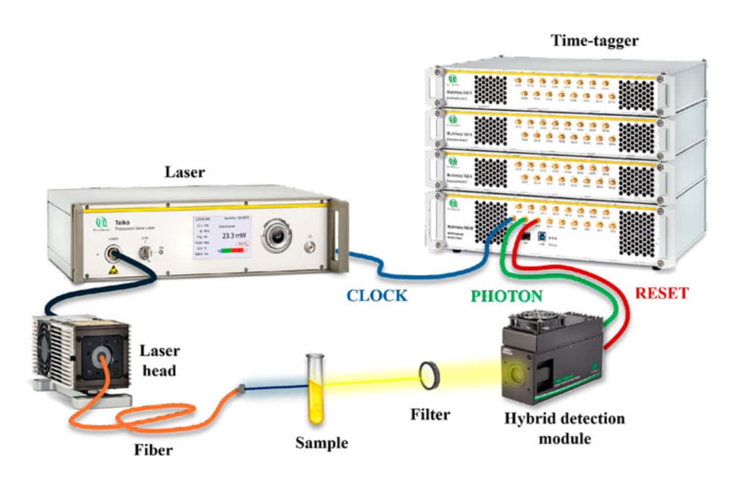 Experimental TCSPC setup with pulsed laser excitation, sample, filter, hybrid photodetector module, and time-tagger used to validate the pile-up correction methodology.