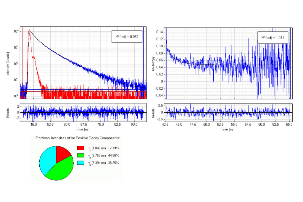 measurement curves of fluorescence lifetime and anisotropy decay