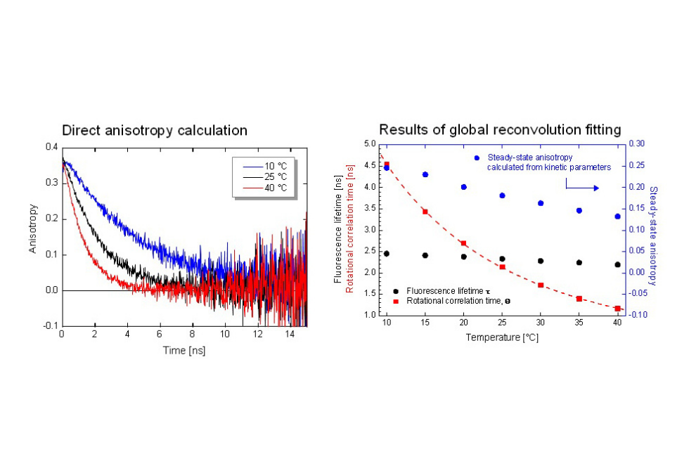 curves showing anisotropy decay of Coumarin 6