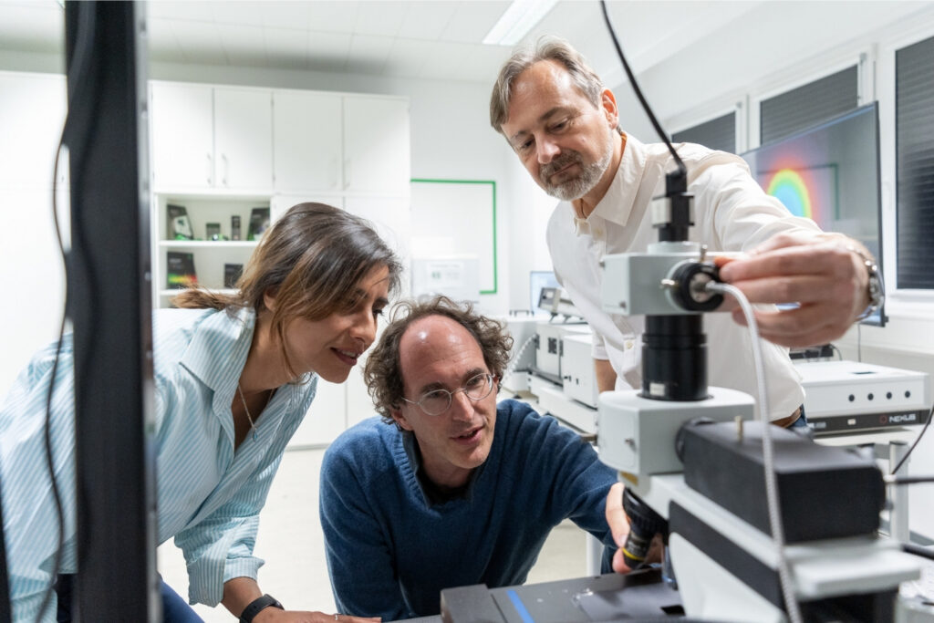 Time-resolved Photoluminescence Course