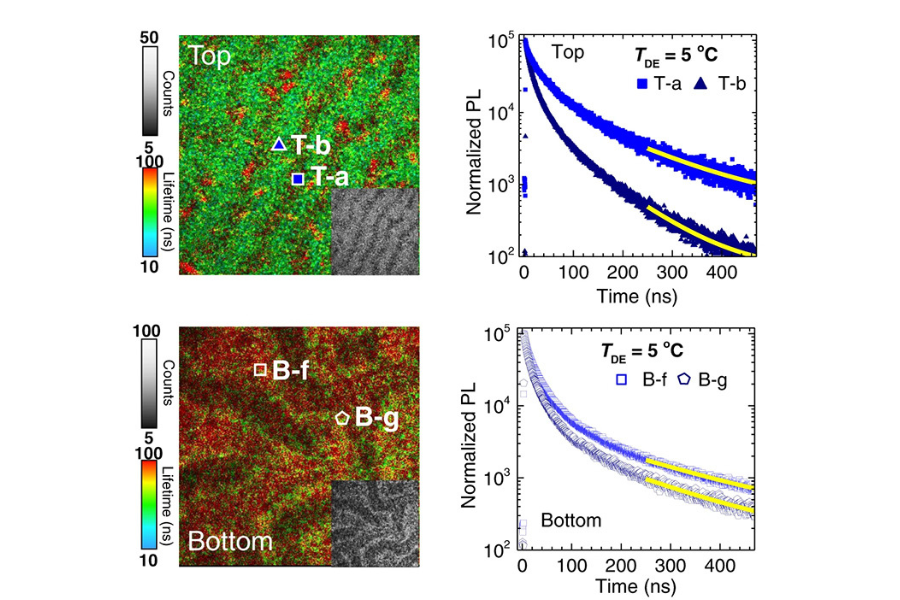 Time-resolved photoluminescence lifetime maps of wrinkled perovskite films showing spatial differences in carrier dynamics between hill and valley regions.