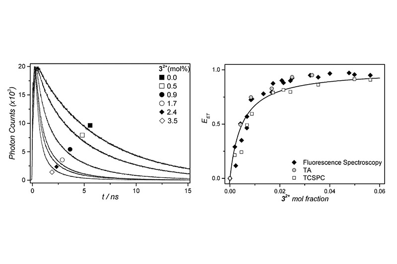 Fluorescence decay curves showing triplet-triplet annihilation upconversion and energy transfer to a ruthenium complex measured by time-resolved spectroscopy.