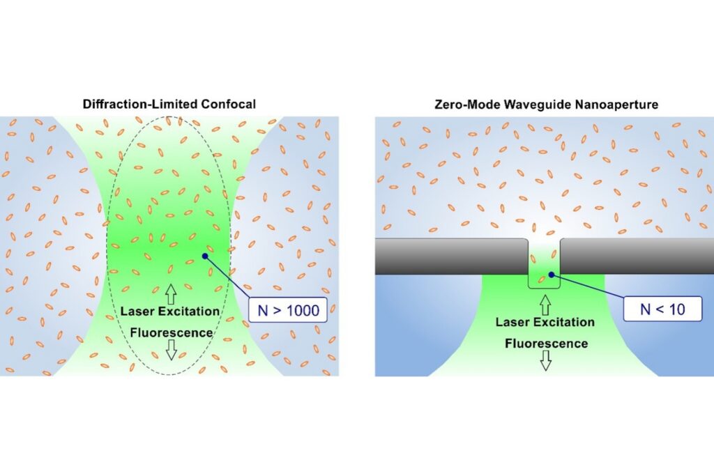 Comparison of fluorescence detection in a diffraction-limited confocal volume and a zero-mode waveguide (ZMW) nanoaperture. At elevated fluorophore concentrations, the conventional confocal observation volume contains a large number of molecules (N > 1000), whereas confinement of the excitation field within the ZMW reduces the effective observation volume and consequently the molecular occupancy (N < 10), enabling FCS measurements at higher concentrations.