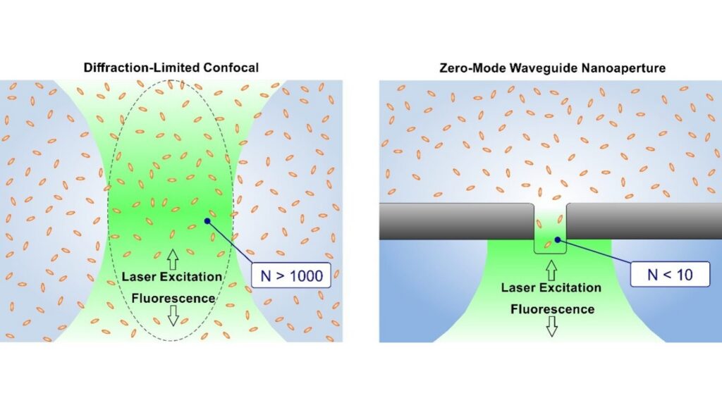 Comparison of fluorescence detection in a diffraction-limited confocal volume and a zero-mode waveguide (ZMW) nanoaperture. At elevated fluorophore concentrations, the conventional confocal observation volume contains a large number of molecules (N > 1000), whereas confinement of the excitation field within the ZMW reduces the effective observation volume and consequently the molecular occupancy (N < 10), enabling FCS measurements at higher concentrations.