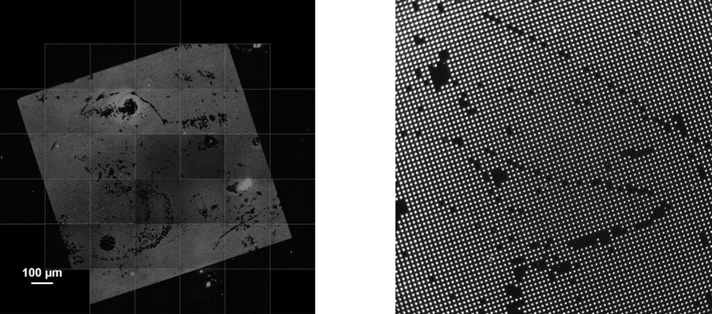 See the complete experimental setup, positioning procedure, FCS analysis, molecular brightness and occupancy results, and automated multi-ZMW measurements in the Application Note.